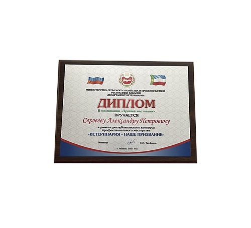 Плакетка (наградная доска) формат А4 с термопереносом