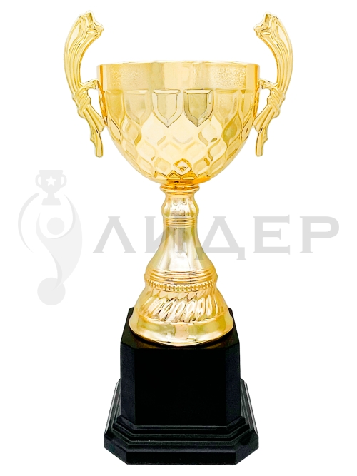 кубок 02-37-01