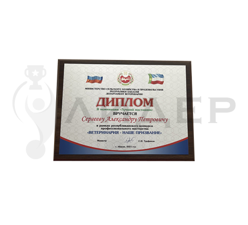 Плакетка (наградная доска) формат А4 с термопереносом