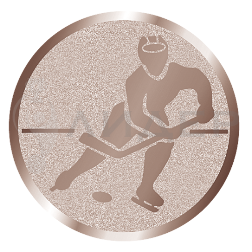 вкладыш E25099B_25_хоккей