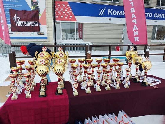 Чемпионат войск национальной гвардии РФ по лыжным гонкам