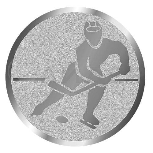 вкладыш E25099S_25_хоккей